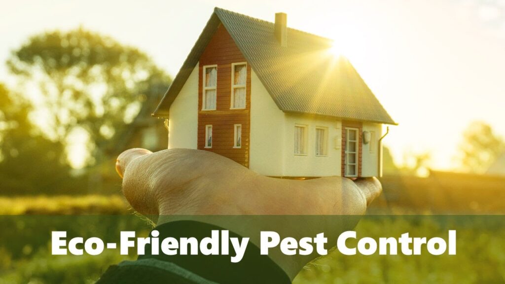 cost of pest control