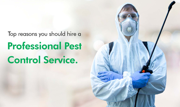 Guide to Finding an Exterminator Near Me – Tips and Tricks