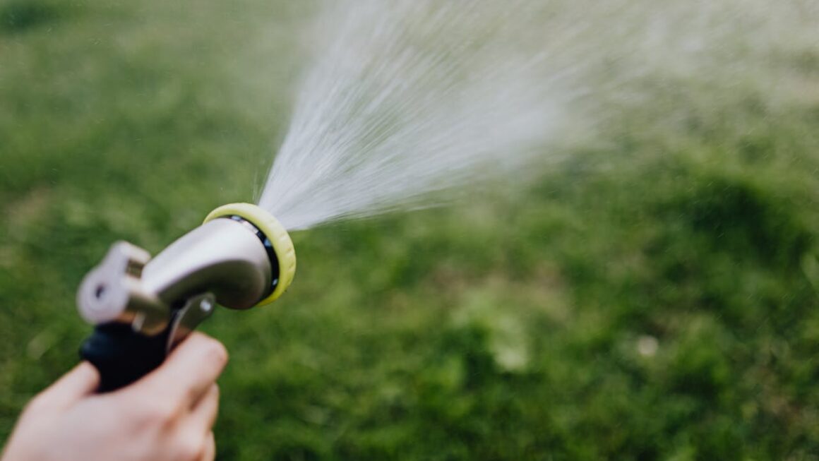 Reliable Lawn Care Services in Red Deer for Homes and Businesses